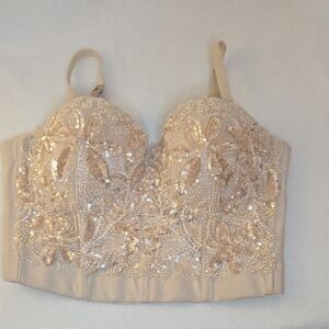 Windsor Blush Beaded Bustier Top